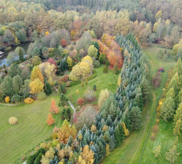 Dziadowa Kłoda