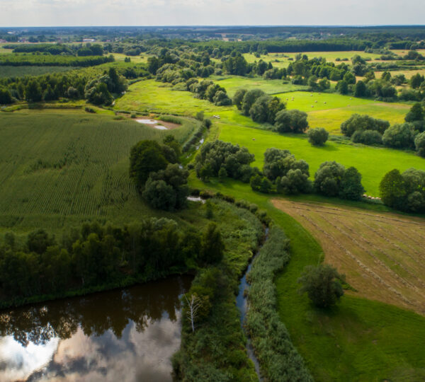 Gmina Bierutów