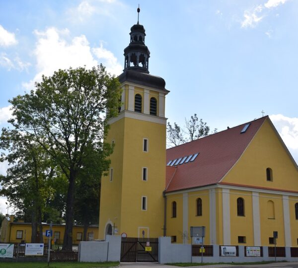 Zawonia