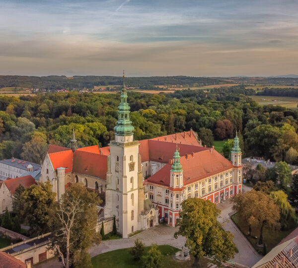 Ziębice