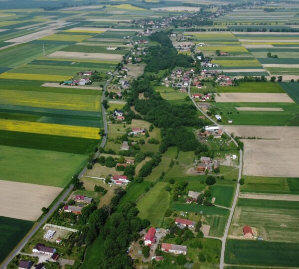 Dziadowa Kłoda