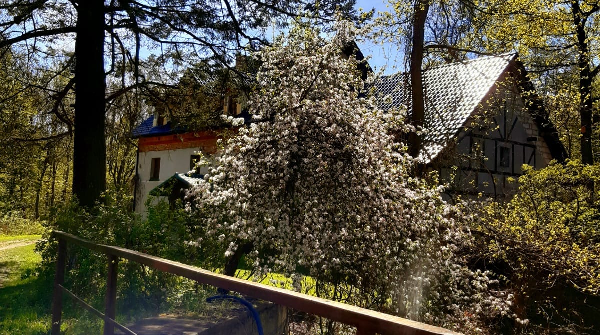 Kamionna "Leśniczówka" (fot. facebook.com/kamionna.lesniczowka)