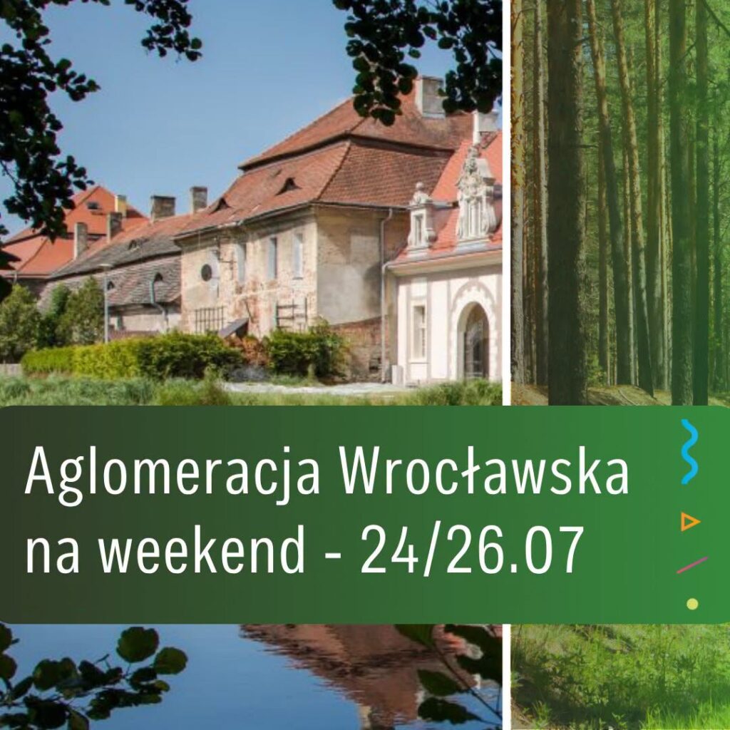 Koncerty, festiwale, kino pod gwiazdami i rodzinne pikniki