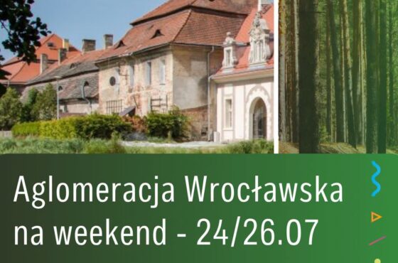 Koncerty, festiwale, kino pod gwiazdami i rodzinne pikniki