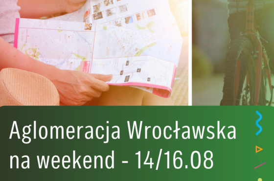 Kino plenerowe, koncerty, pikniki i wydarzenia dla całej rodziny