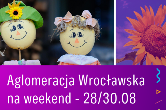 Dożynki, koncerty, imprezy