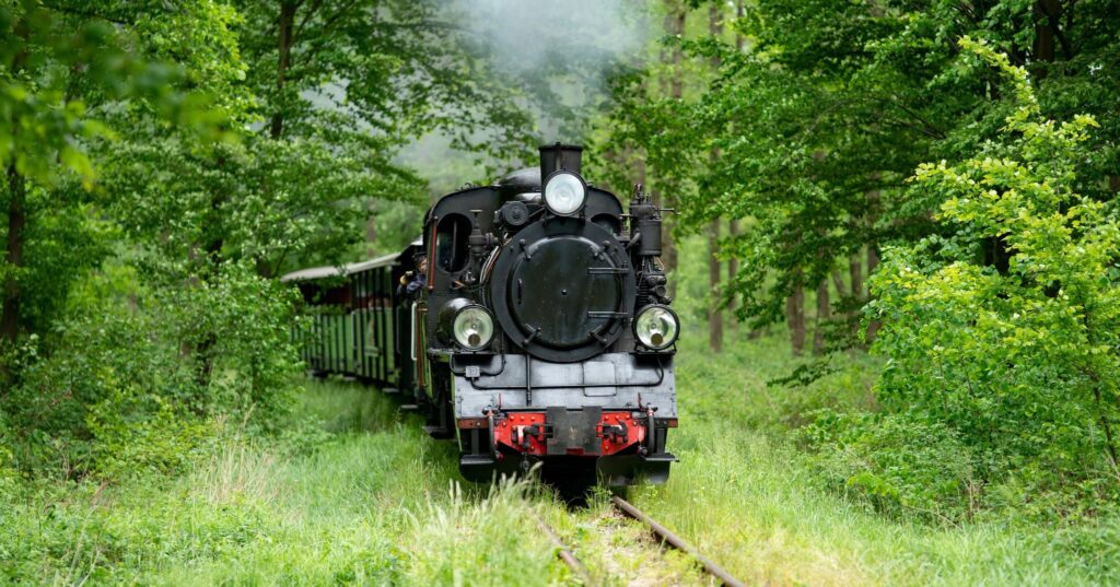 Pomysł na aktywne popołudnie za miastem? Odwiedź Gminę Krośnice