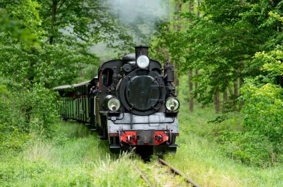 Pomysł na aktywne popołudnie za miastem? Odwiedź Gminę Krośnice